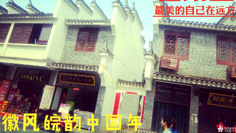 从大鱼号过来的新萌